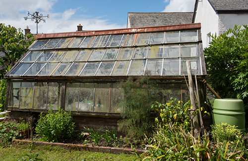 Greenhouse Cleaning