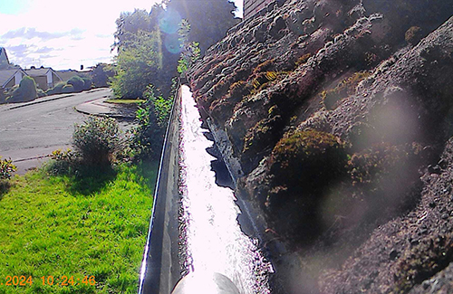 Gutter & Fascia Cleaning