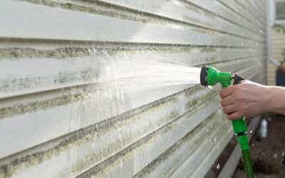 Moss, Algae and Spot Treatment for Exterior Surfaces